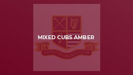 Mixed Cubs Amber