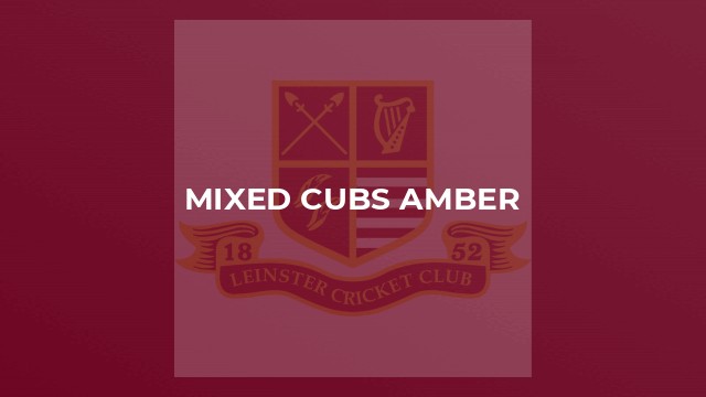 Mixed Cubs Amber