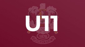 U11