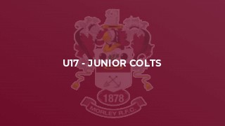 U17 - Junior Colts
