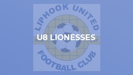 U8 Lionesses