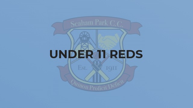 Under 11 Reds