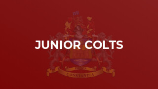 Junior Colts