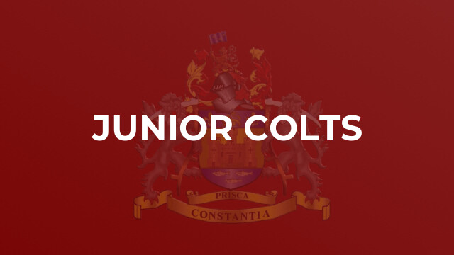 Junior Colts
