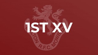 1st XV