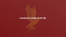 Academy (Ages 12 to 18)