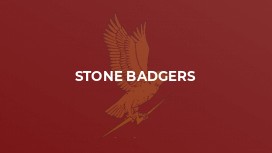 Stone Badgers