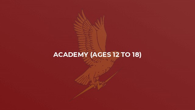 Academy (Ages 12 to 18)