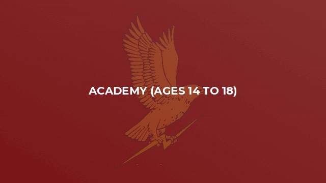 Academy (Ages 14 to 18)