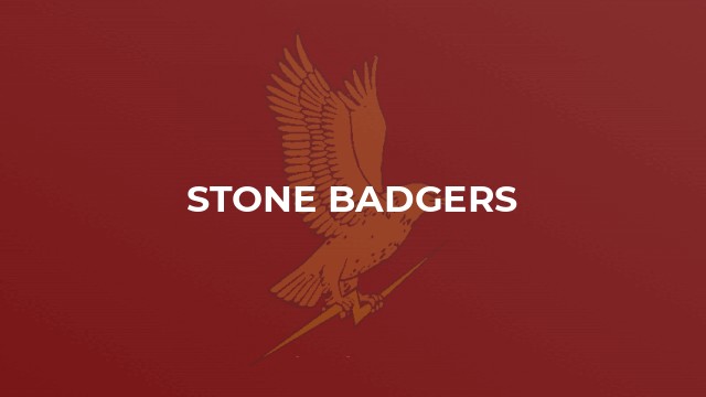 Stone Badgers