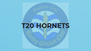 T20 Hornets