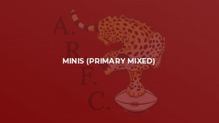 Minis (Primary Mixed)