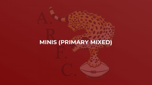 Minis (Primary Mixed)