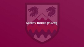 Mighty Ducks (Plate)
