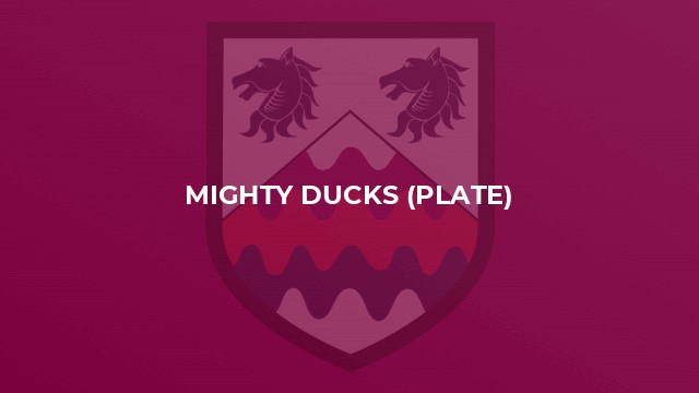 Mighty Ducks (Plate)