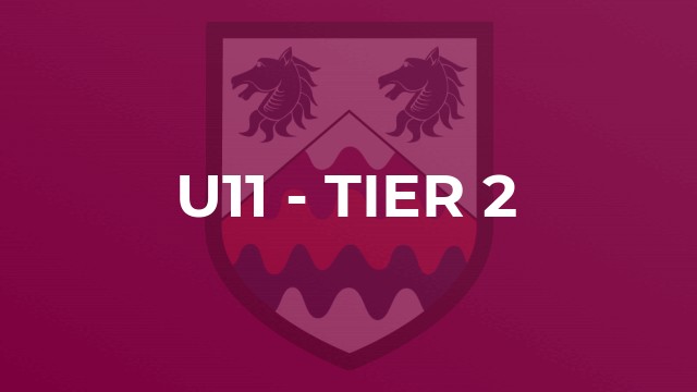 U11 - Tier 2