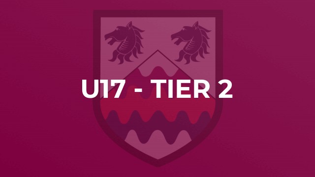 U17 - Tier 2