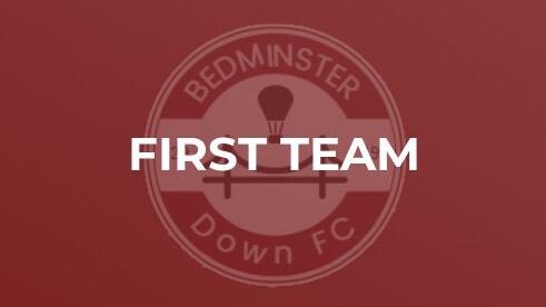 Bristol Phoenix Reserves 2 - 8 Bedminster Down 