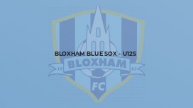 Bloxham Blue Sox - U12s