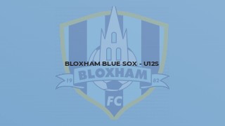 Bloxham Blue Sox - U12s