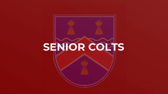 Senior Colts