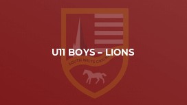 U11 Boys – Lions
