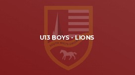U13 Boys - Lions