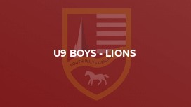 U9 Boys - Lions