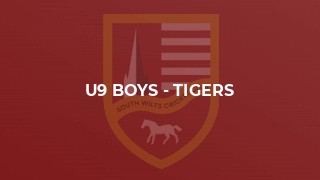 U9 Boys - Tigers
