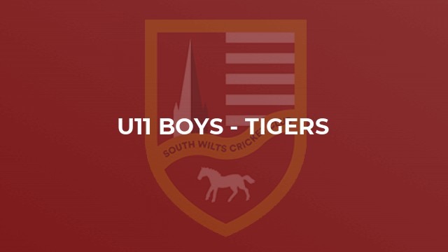U11 Boys - Tigers
