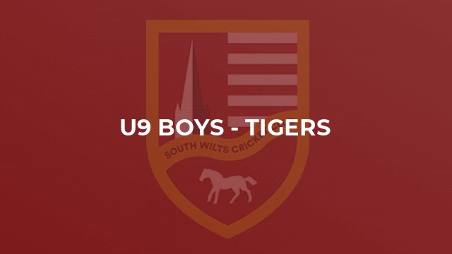U9 Boys - Tigers