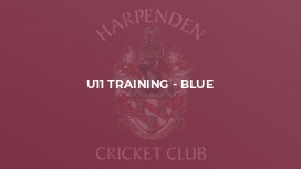 U11 Training - Blue