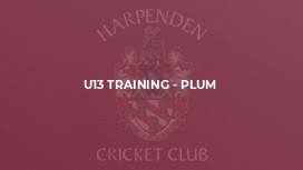 U13 Training - Plum