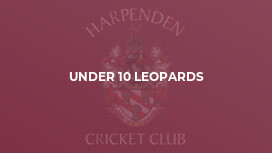 Under 10 Leopards