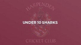 Under 10 Sharks
