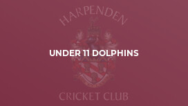 Under 11 Dolphins