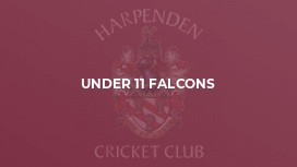 Under 11 Falcons