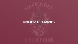 Under 11 Hawks