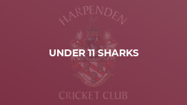 Under 11 Sharks