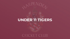 Under 11 Tigers