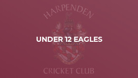 Under 12 Eagles