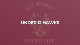 Under 12 Hawks