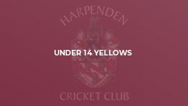 Under 14 Yellows