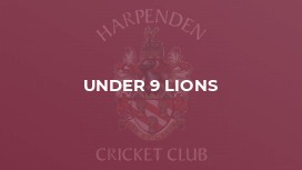 Under 9 Lions