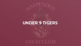 Under 9 Tigers