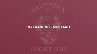 U13 Training - Mustard