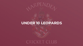 Under 10 Leopards