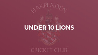 Under 10 Lions