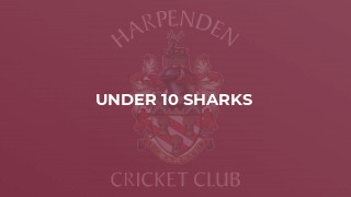 Under 10 Sharks