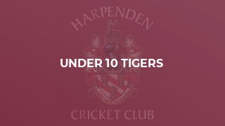Under 10 Tigers